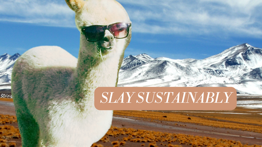 Is Baby Alpaca Wool Sustainable?